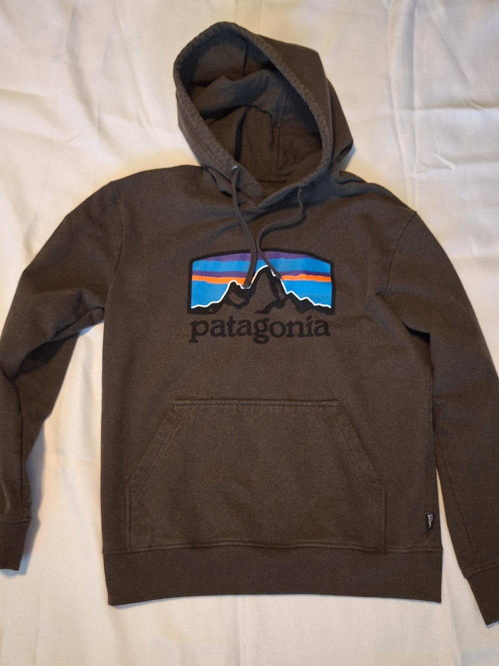 Patagonia Men's Brown Logo Hoodie Small